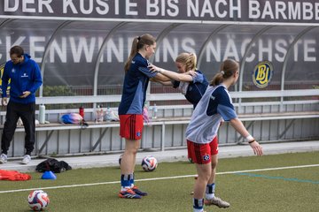 Bild 66 - wBJ Hamburger SV - FC Suederelbe : Ergebnis: 9:0